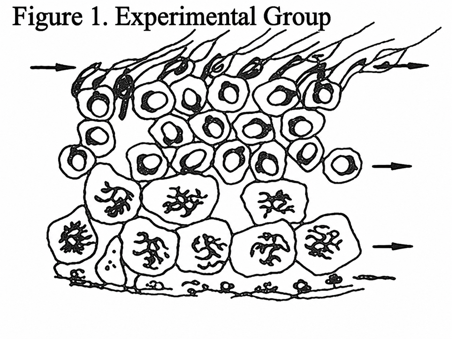Historical experimental diagram concerning Tribestan